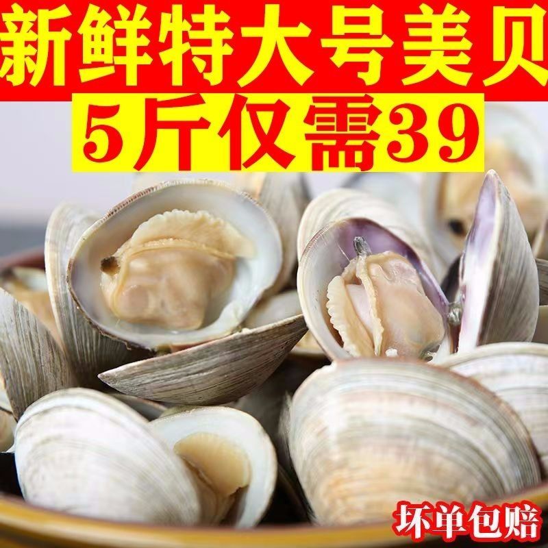 ʻӴҰɳ󻨸򻨼ĸҰ
