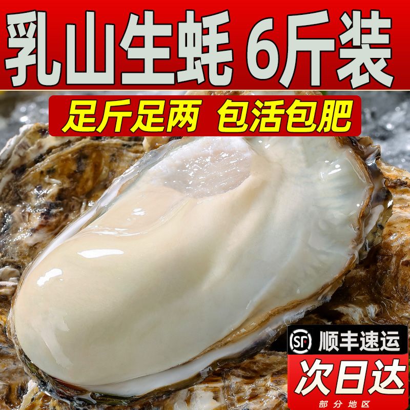 ʻɽش510ﺣĵ˳