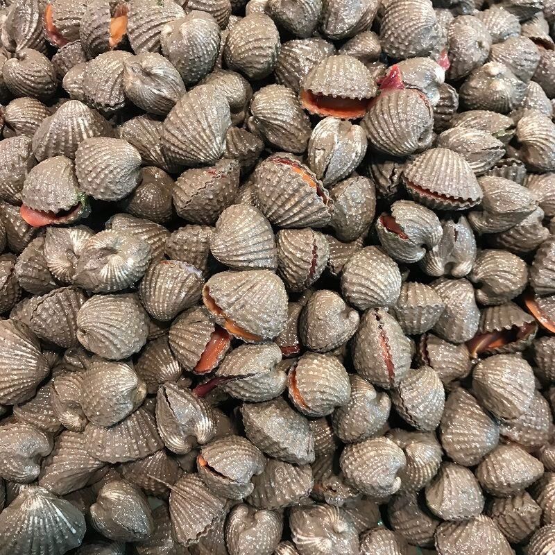 ݸѪʻҰëǻ׺ʱˮ500