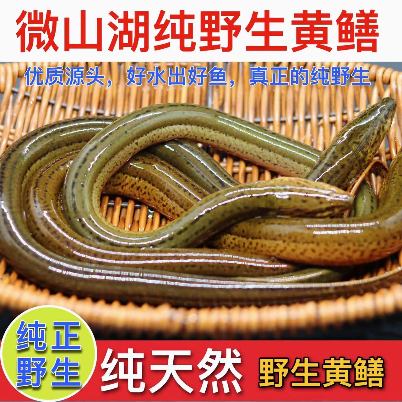 Ұ峤˿Ұˮʻԭ̬Ȼ

