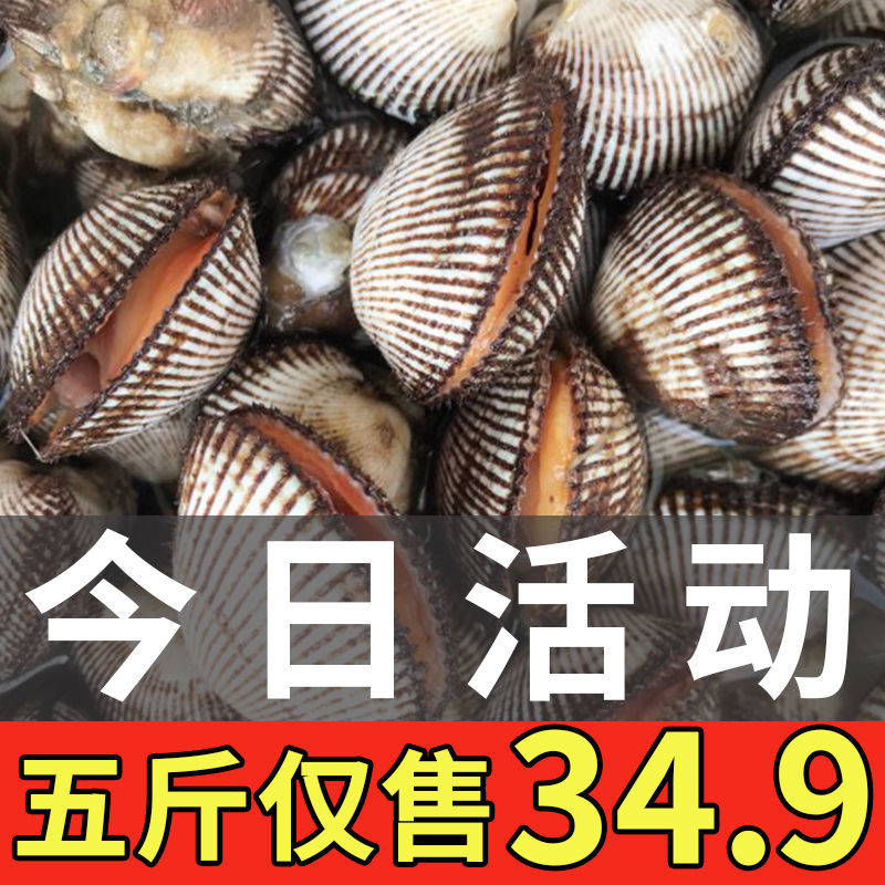 ˮʻëʸ۴ëҰѪëë