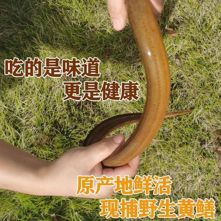 Ұ峤˿Ұˮʻԭ̬Ȼ
