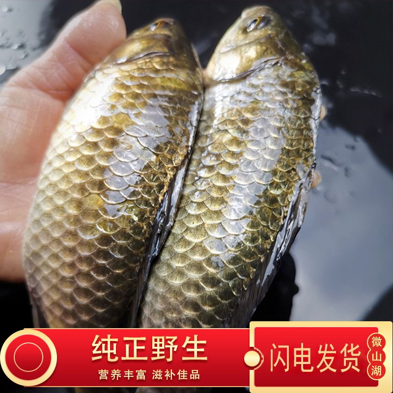 ҰССʻ䶳
