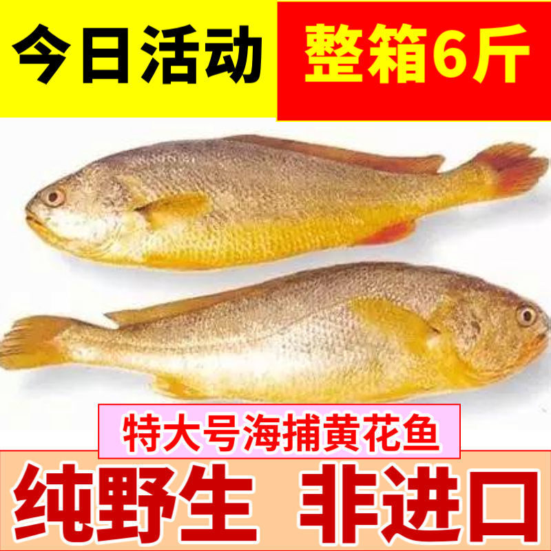 ƻ䶳ҰС㺣ˮʻ