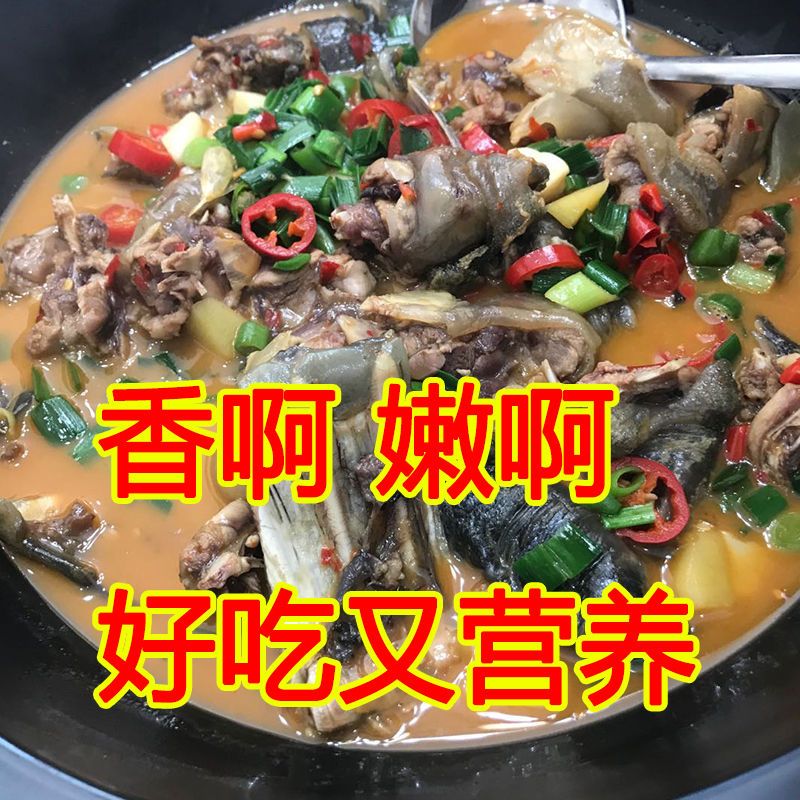 ʻ ʹ˺лϱڹˮ