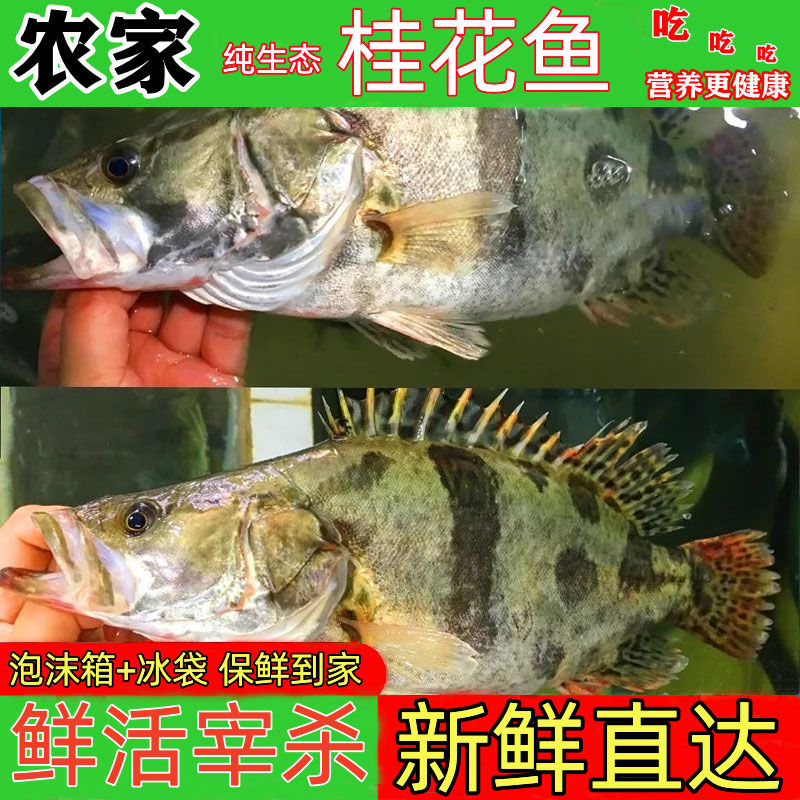 ũ̬ˮʻɱ㼾

