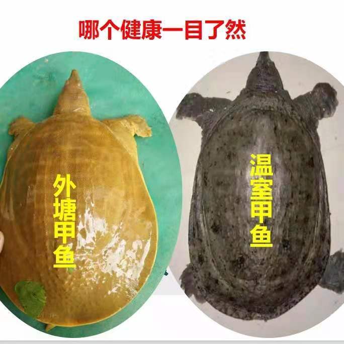 ƺӴҰлʳúʻˮƱϱ