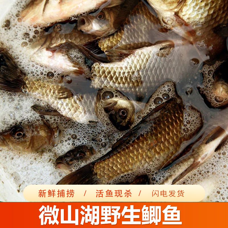 ҰССʻ䶳