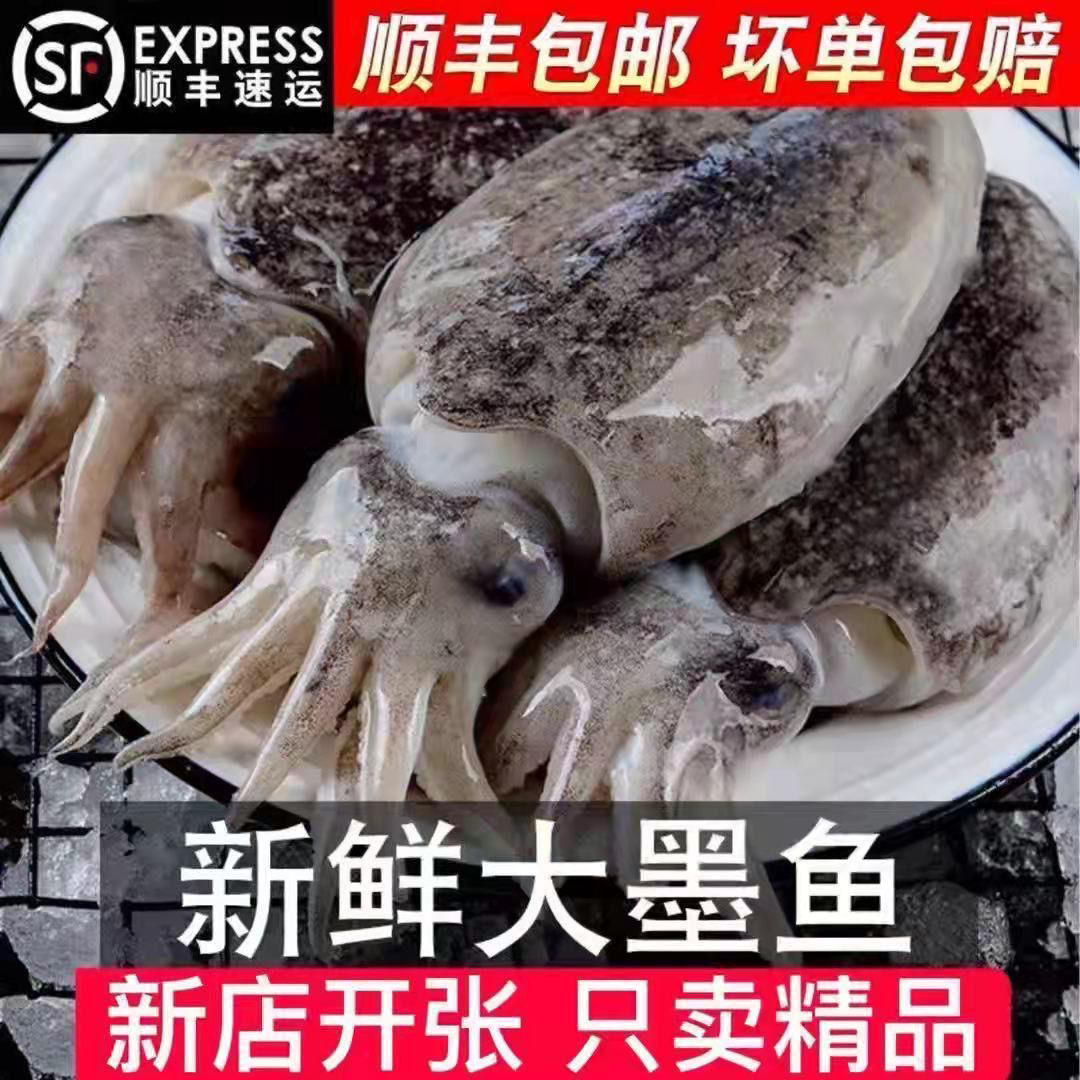 ޱ¡ձҰīĿ㺣īĿ