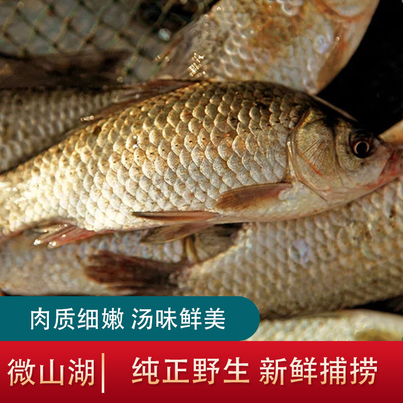 ҰССʻ䶳
