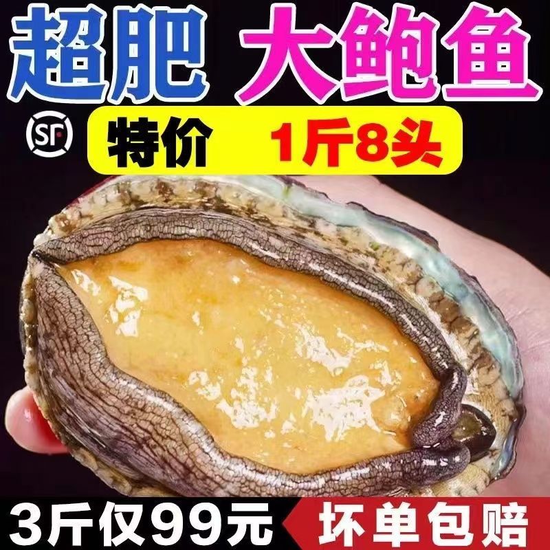 شšʻ䶳ʻҰǱɻ