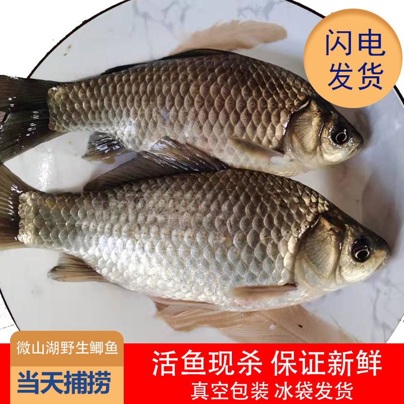 ҰССʻ䶳