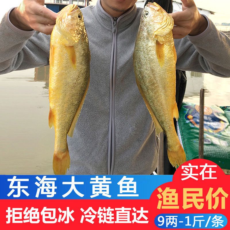 ºʻƻ㺣ʴС5-1Ұ䶳
