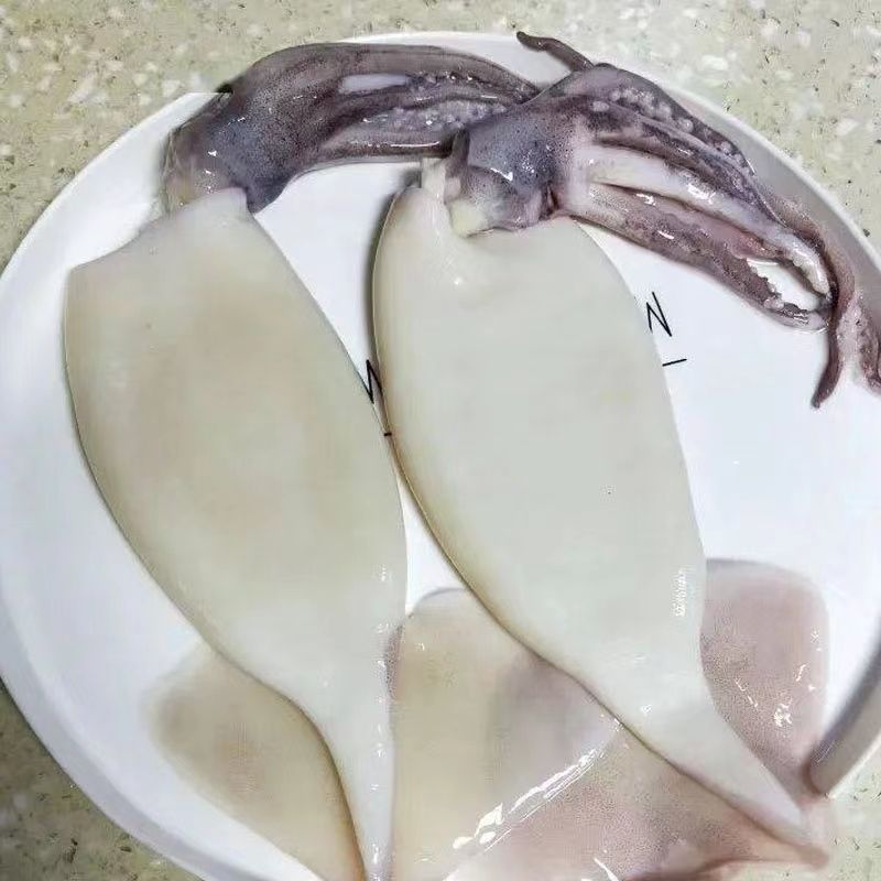  ȥƤ ȥ ȥ۾ ȥͷ  ٶʷ