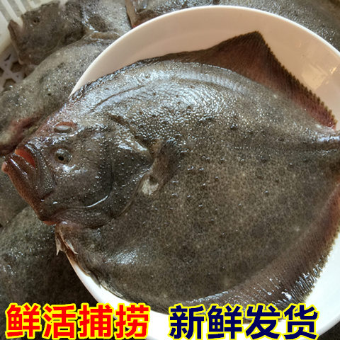 ʶ౦ ʻʯĿ㻨ʯ㺣ˮ 250g/500g
