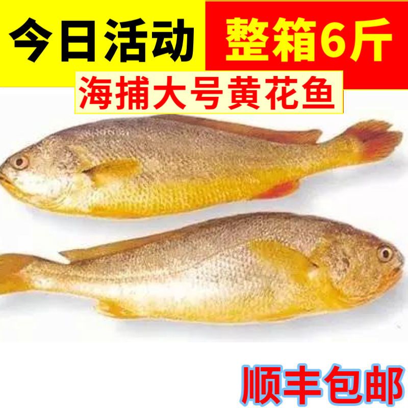 ƻ䶳ҰС㺣ˮʻ