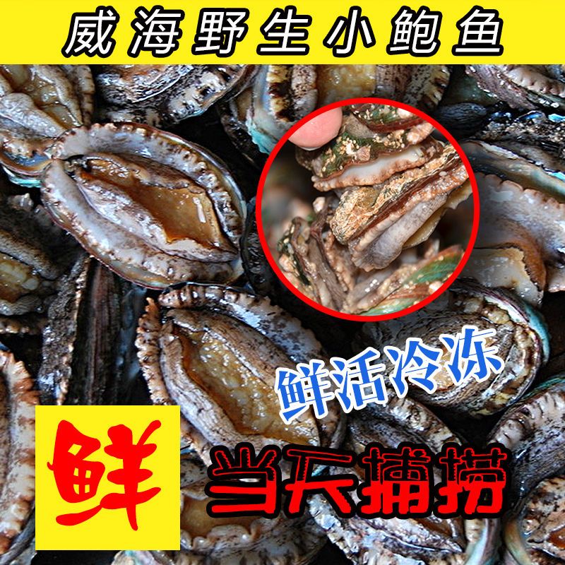 ʱʻ䶳 Ұ ຣ 䶳 ٶ