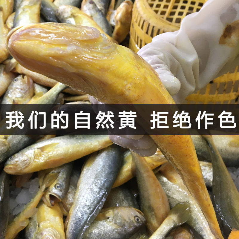 ºʻƻ㺣ʴС5-1Ұ䶳
