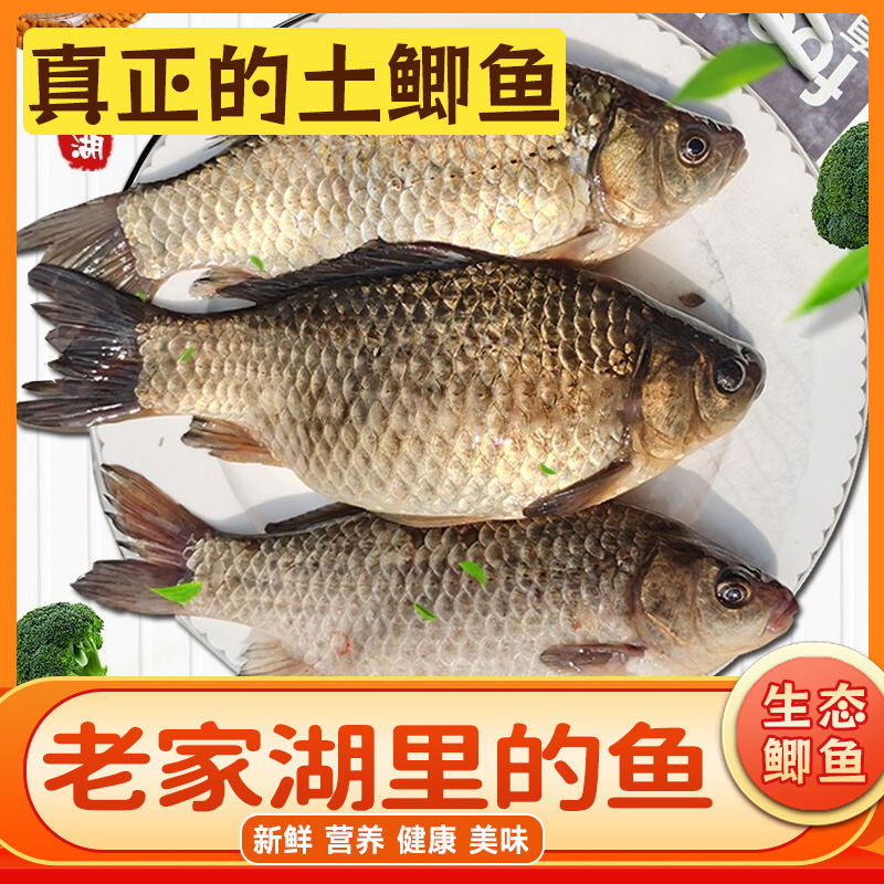 ׵ֱҰСɱ΢ɽʻ㴿Ұˮ