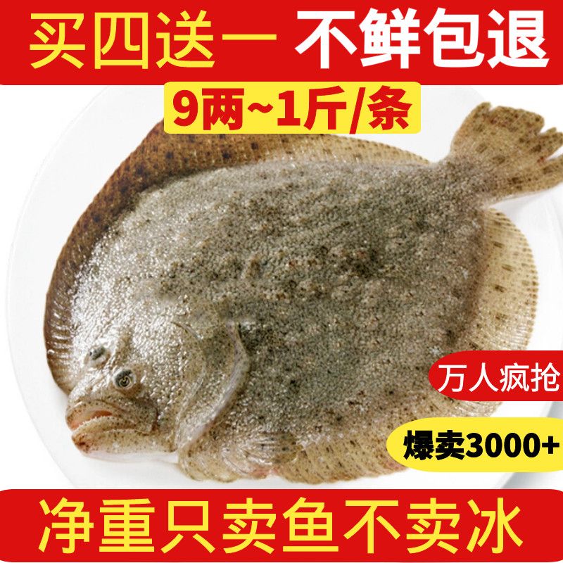 Ƹʶ౦ ҰĿ䶳˱G