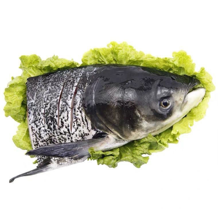 ǧڻͷͷͷ̬ͷˮɱ
