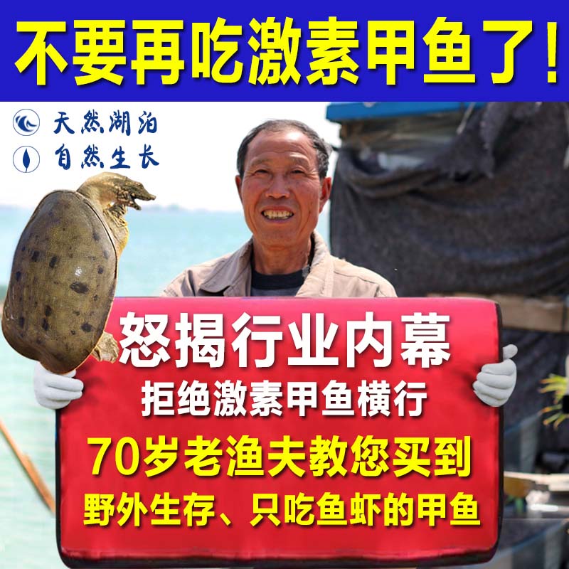 ڡҰʻҰˮʳлϱ̲
