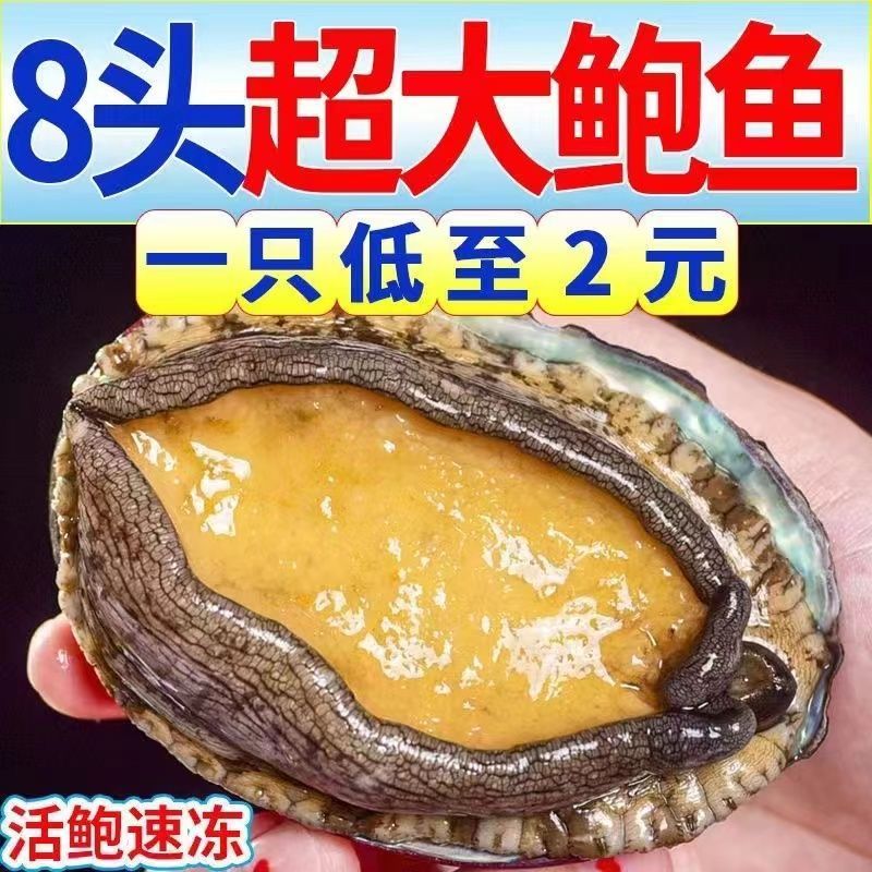 شšʻ䶳ʻҰǱɻ