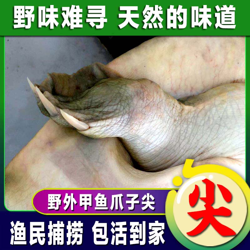ڡҰʻҰˮʳлϱ̲
