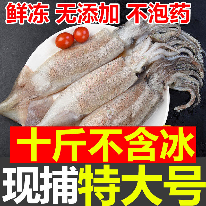 ز䡿ʴʻͷ