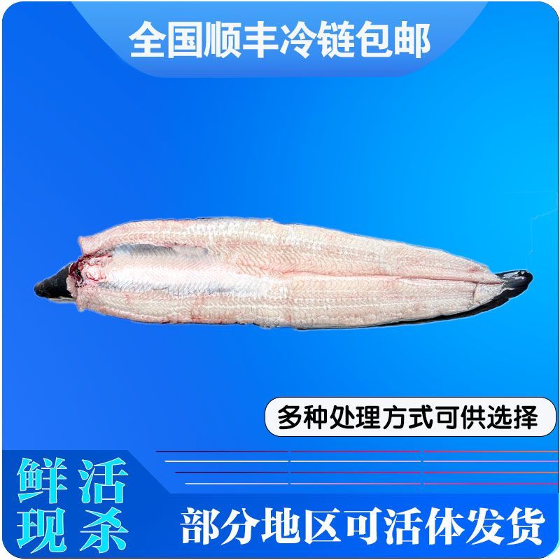 ʻˮ䶳ˮרÿɻ˳