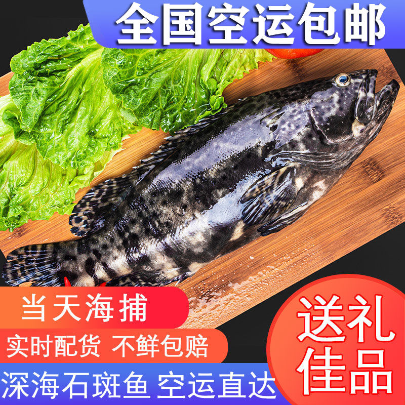 Ұʯʻʯʯ䶳ϻ(1-10)