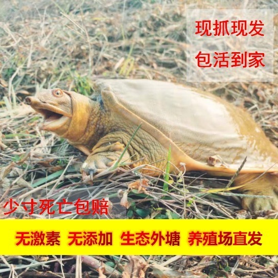 ƺӴҰлʳúʻˮƱϱ