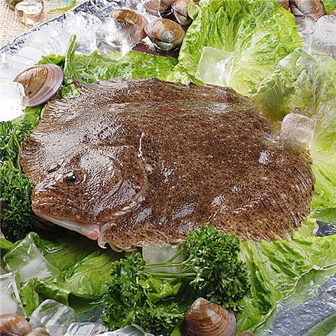 ʶ౦ ʻʯĿ㻨ʯ㺣ˮ 250g/500g