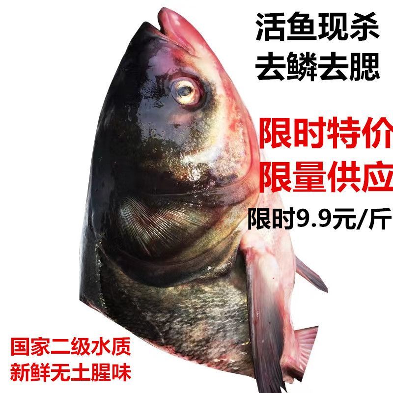 ͷͷ㻨ͷ罷ͷˮũؼ