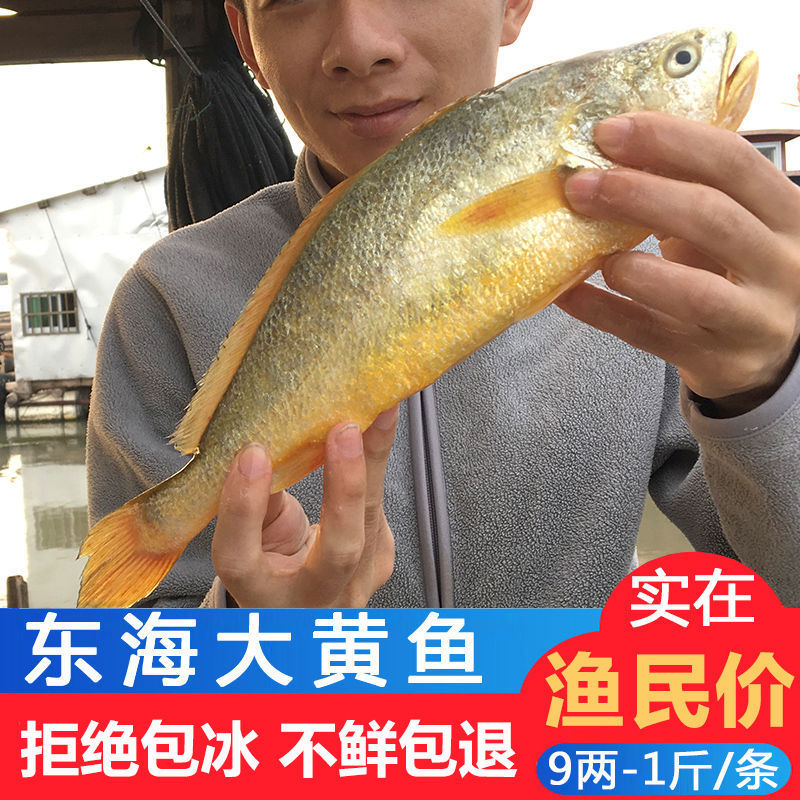 ºʻƻ㺣ʴС5-1Ұ䶳
