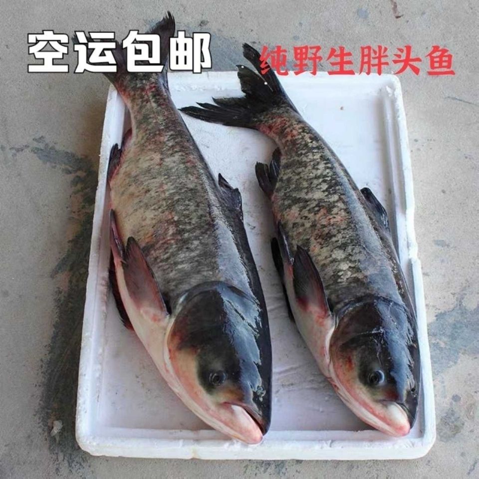 ͷ㡿ԭͷʻ䶳ˮͷ