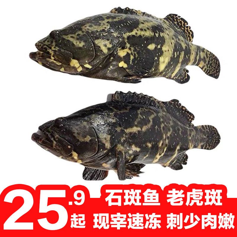 տȻʯȥǺˮ䶳ʯ