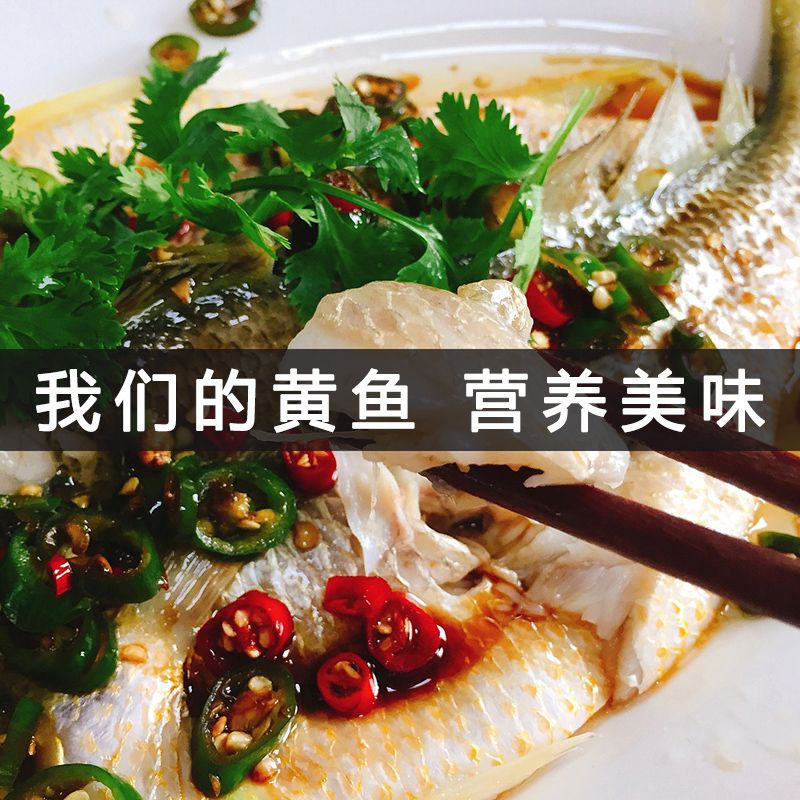 ºʻƻ㺣ʴС5-1Ұ䶳
