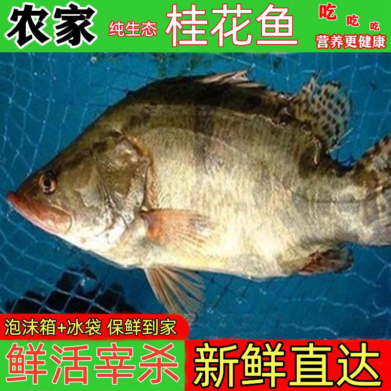 ũ̬ˮʻɱ㼾
