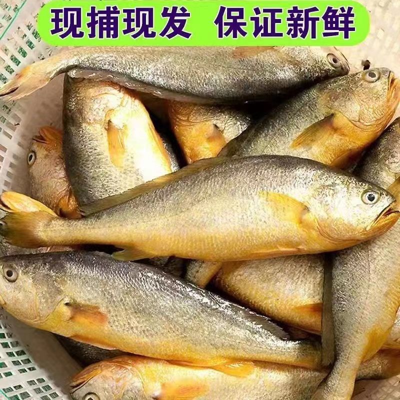 ڴƻشʻ䶳ˮʴ㺣
