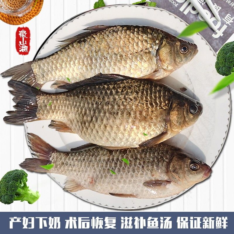׵ֱҰСɱ΢ɽʻ㴿Ұˮ