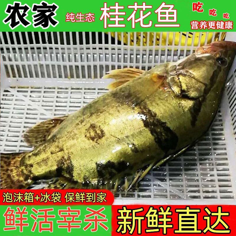 ũ̬ˮʻɱ㼾
