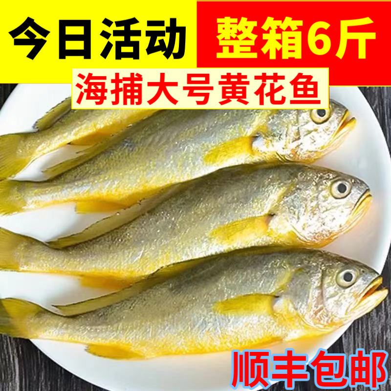 ƻ䶳ҰС㺣ˮʻ