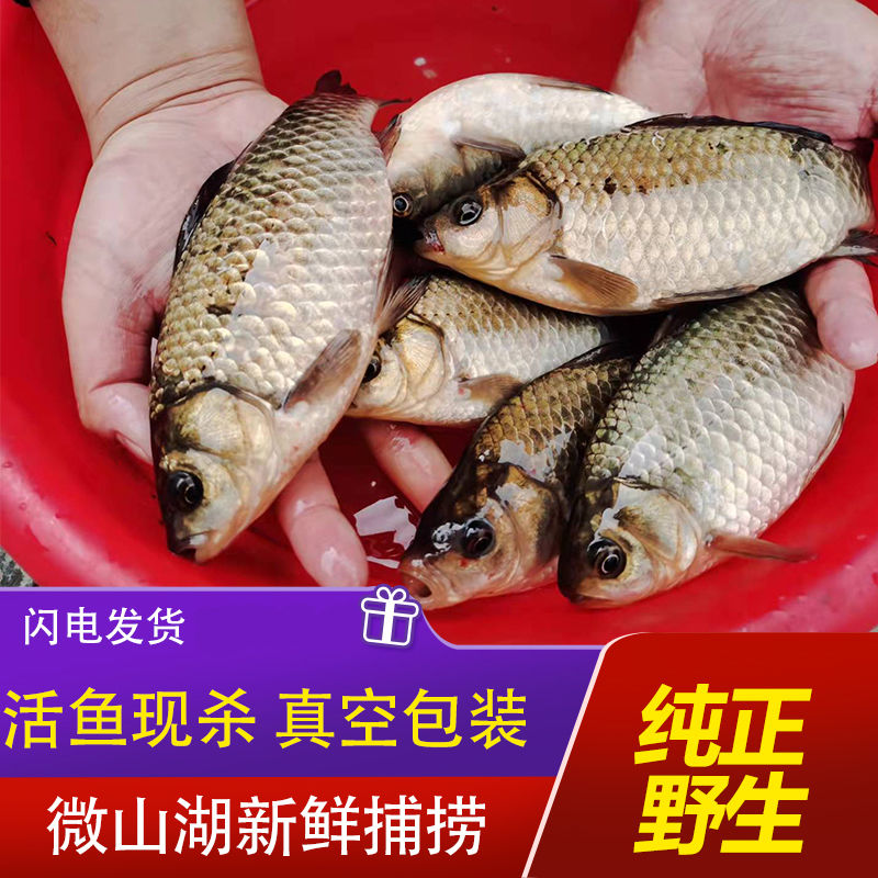 ҰССʻ䶳