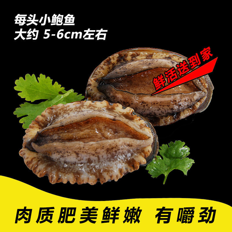 ʱʻ䶳 Ұ ຣ 䶳 ٶ