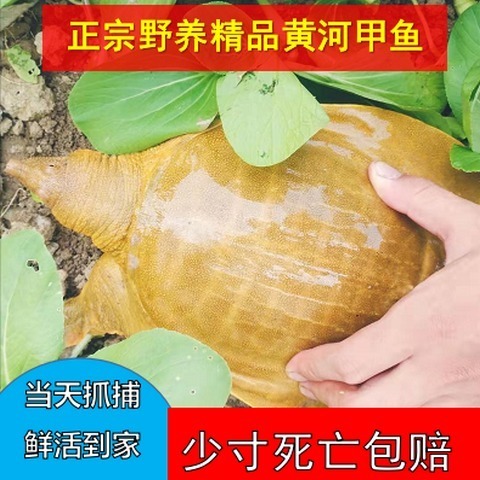 ƺӴҰлʳúʻˮƱϱ