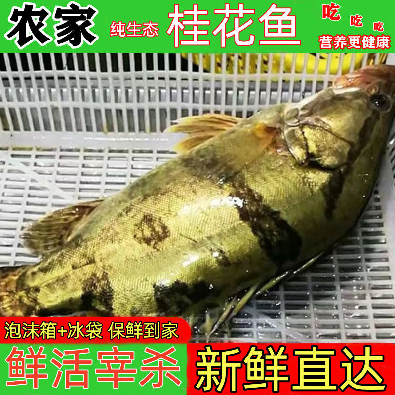 ũ̬ˮʻɱ㼾
