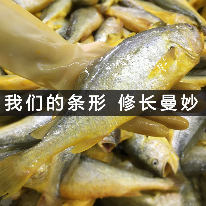 ºʻƻ㺣ʴС5-1Ұ䶳
