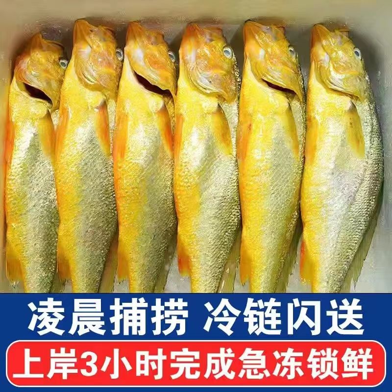 ڴƻشʻ䶳ˮʴ㺣