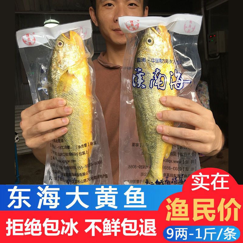 ºʻƻ㺣ʴС5-1Ұ䶳
